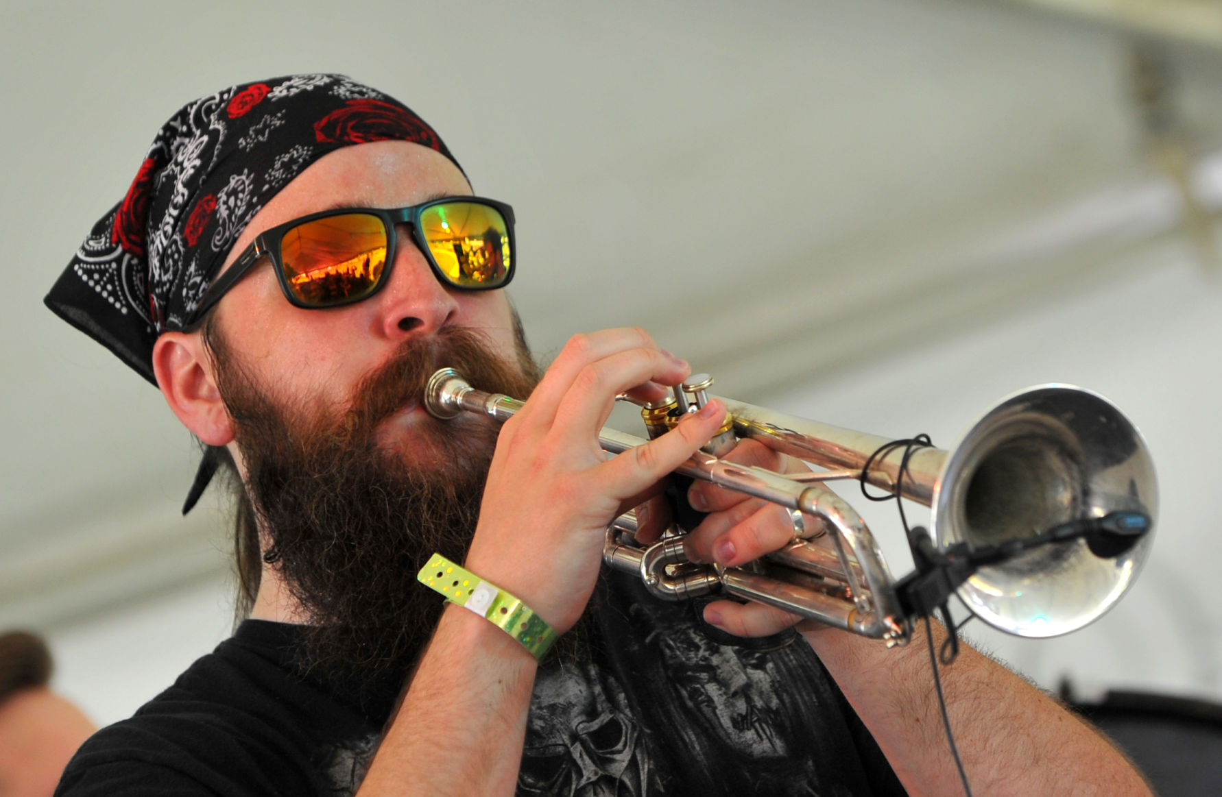 2019 Mississippi Valley Blues Festival